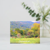 Herfst in CT Briefkaart (Staand voorkant)