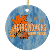 Herfst In De Adirondacks Met Herfstbladeren Beer T