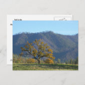 Herfst in de bergen... briefkaart (Voorkant / Achterkant)