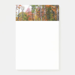 Herfst in de Forest Colorful Autumn Photography Post-it® Notes