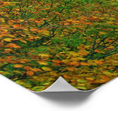 herfst in de mokies poster (Hoek)