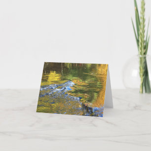 Herfst in de Rivier Kaart