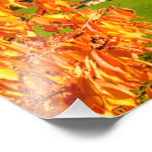 Herfst in een Dolomietenlandschap met een kerk Foto Afdruk (Hoek)