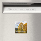 Herfst in Flagstaff Arizona Magnet Magneet (Insitu (Vaatwasser))