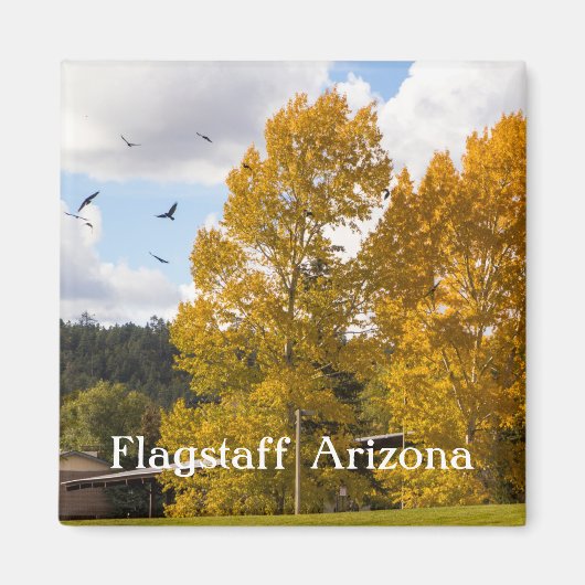 Herfst in Flagstaff Arizona Magnet Magneet (Voorkant)
