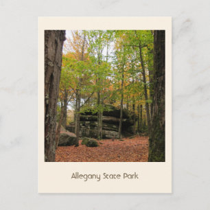 Herfst in het Allegany Briefkaart