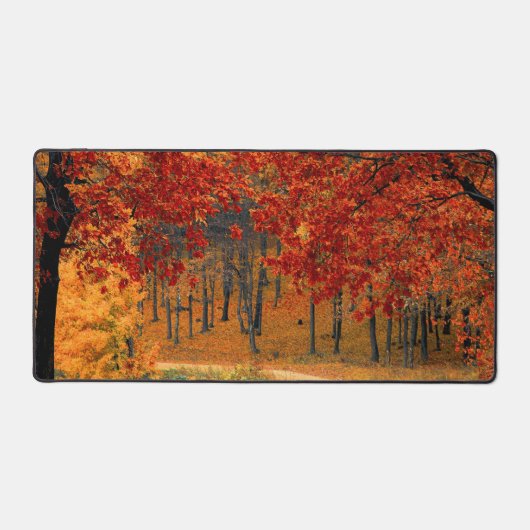 Herfst in het bos bureaumat (Voorkant)