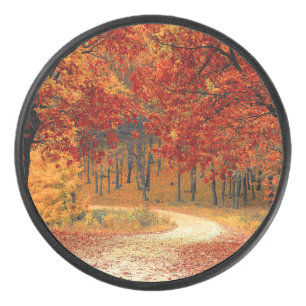 Herfst in het bos hockey puck