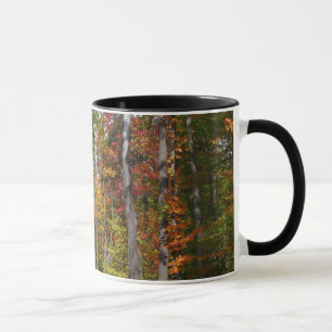 Herfst in het bos Kleurrijke herfstfotografie Mok