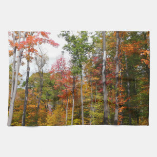 Herfst in het bos Kleurrijke herfstfotografie Theedoek