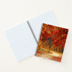 Herfst in het bos notitieboek