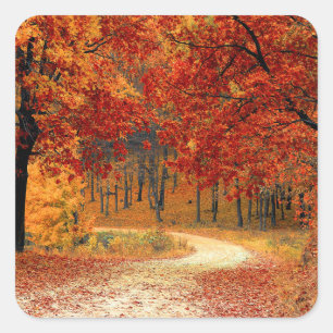 Herfst in het bos vierkante sticker