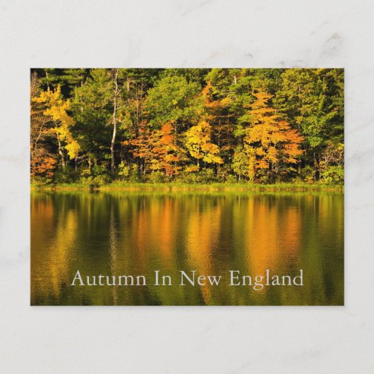 Herfst in het Briefkaart van New England (Voorkant)