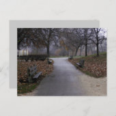 Herfst in het park briefkaart (Voorkant / Achterkant)