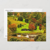 Herfst in het park briefkaart (Voorkant / Achterkant)