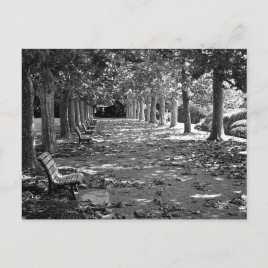 Herfst in het park: Tokio Briefkaart (Voorkant)