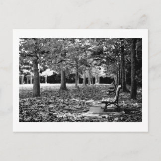 Herfst in het park: Tokyo Briefkaart