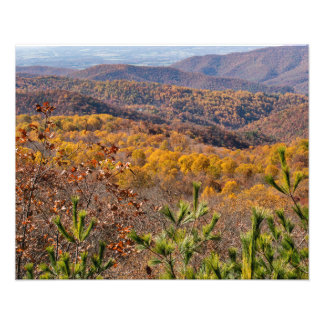 Herfst in het Shenandoah National Park Foto Afdruk