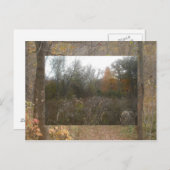 herfst in het wild briefkaart (Voorkant / Achterkant)