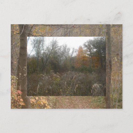 herfst in het wild briefkaart (Voorkant)