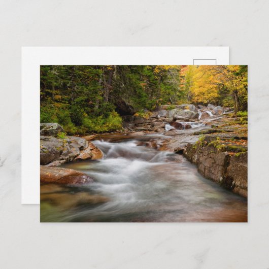 Herfst in Jefferson Brook, New Hampshire Briefkaart (Voorkant / Achterkant)