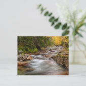 Herfst in Jefferson Brook, New Hampshire Briefkaart (Staand voorkant)