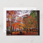 Herfst in Korea Briefkaart (Voorkant / Achterkant)