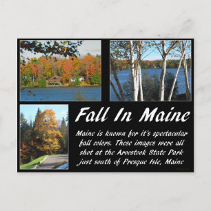 Herfst in Maine Briefkaart