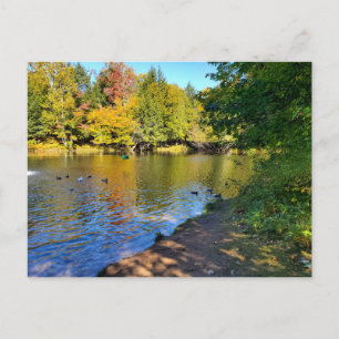 Herfst in Michigan Briefkaart