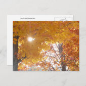 Herfst in Montreal Briefkaart (Voorkant / Achterkant)