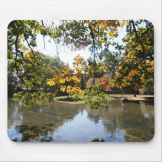 Herfst in Montreal Muismat