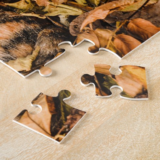 Herfst in omloop in omloop in Calico Cat Foto Legpuzzel (Zijkant)