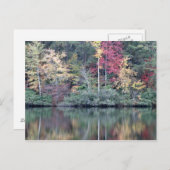 Herfst in Oneida, TN Briefkaart (Voorkant / Achterkant)