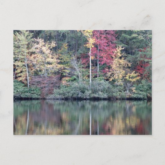 Herfst in Oneida, TN Briefkaart (Voorkant)