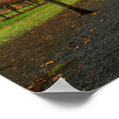 Herfst in Saint Helena Poster (Hoek)