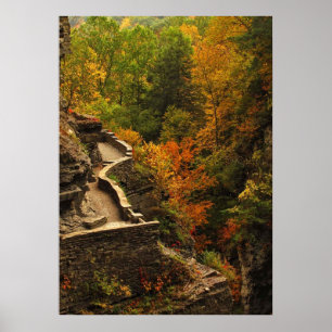Herfst in Treman State Park Poster