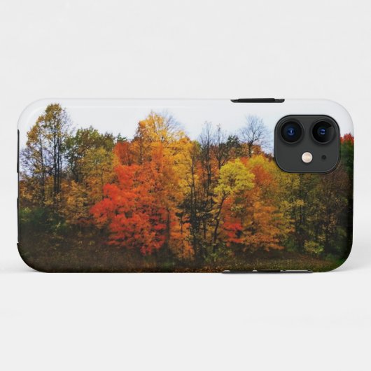 Herfst in West Bend, Wisconsin Case-Mate iPhone Case (Achterkant (horizontaal))