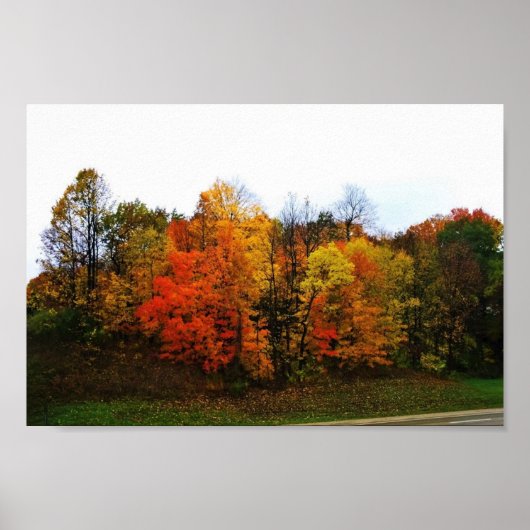Herfst in West Bend, Wisconsin Poster (Voorkant)