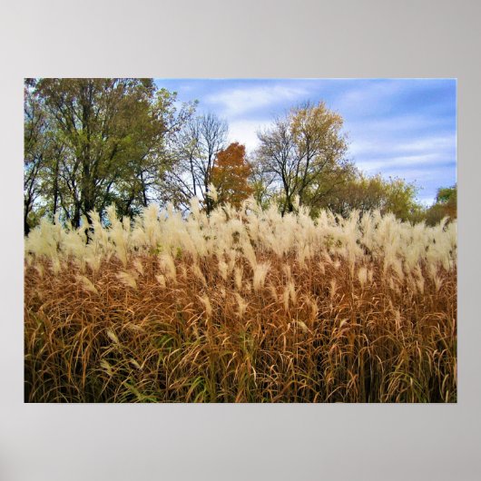Herfst in Wisconsin Poster (Voorkant)