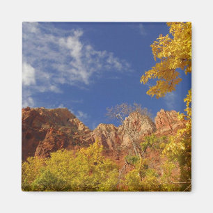 Herfst in Zion Magneet