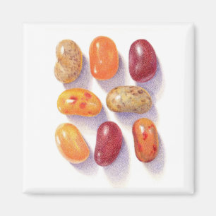 HERFST JELLY BEANS Square Magnet Magneet