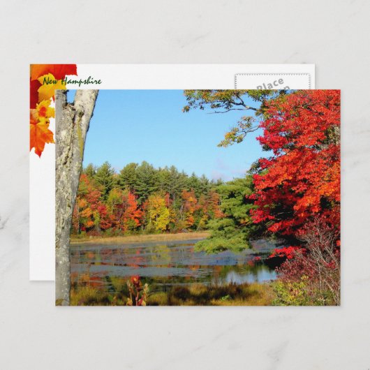 Herfst kleur in New England Briefkaart (Voorkant / Achterkant)