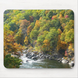 Herfst Kleur in Ohiopyle State Park Muismat