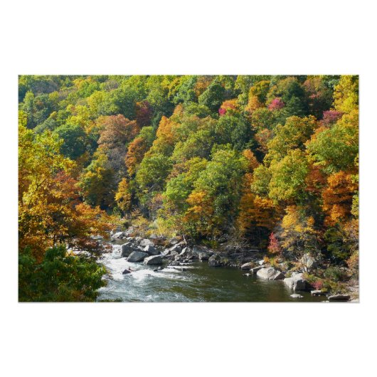 Herfst Kleur in Ohiopyle State Park Perfect Poster (Voorkant)