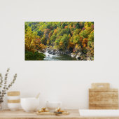 Herfst Kleur in Ohiopyle State Park Poster (Keuken)