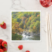 Herfst Kleur in Ohiopyle State Park Servetten (Insitu)