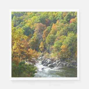 Herfst Kleur in Ohiopyle State Park Servetten