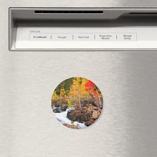 Herfst kleur langs bisschop Creek, CA Magneet (Insitu (Vaatwasser))