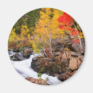 Herfst kleur langs bisschop Creek, CA Magneet