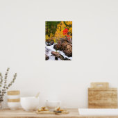 Herfst kleur langs bisschop Creek, CA Poster (Keuken)